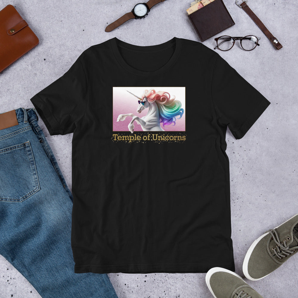 Magic Unicorn Men's tee, black