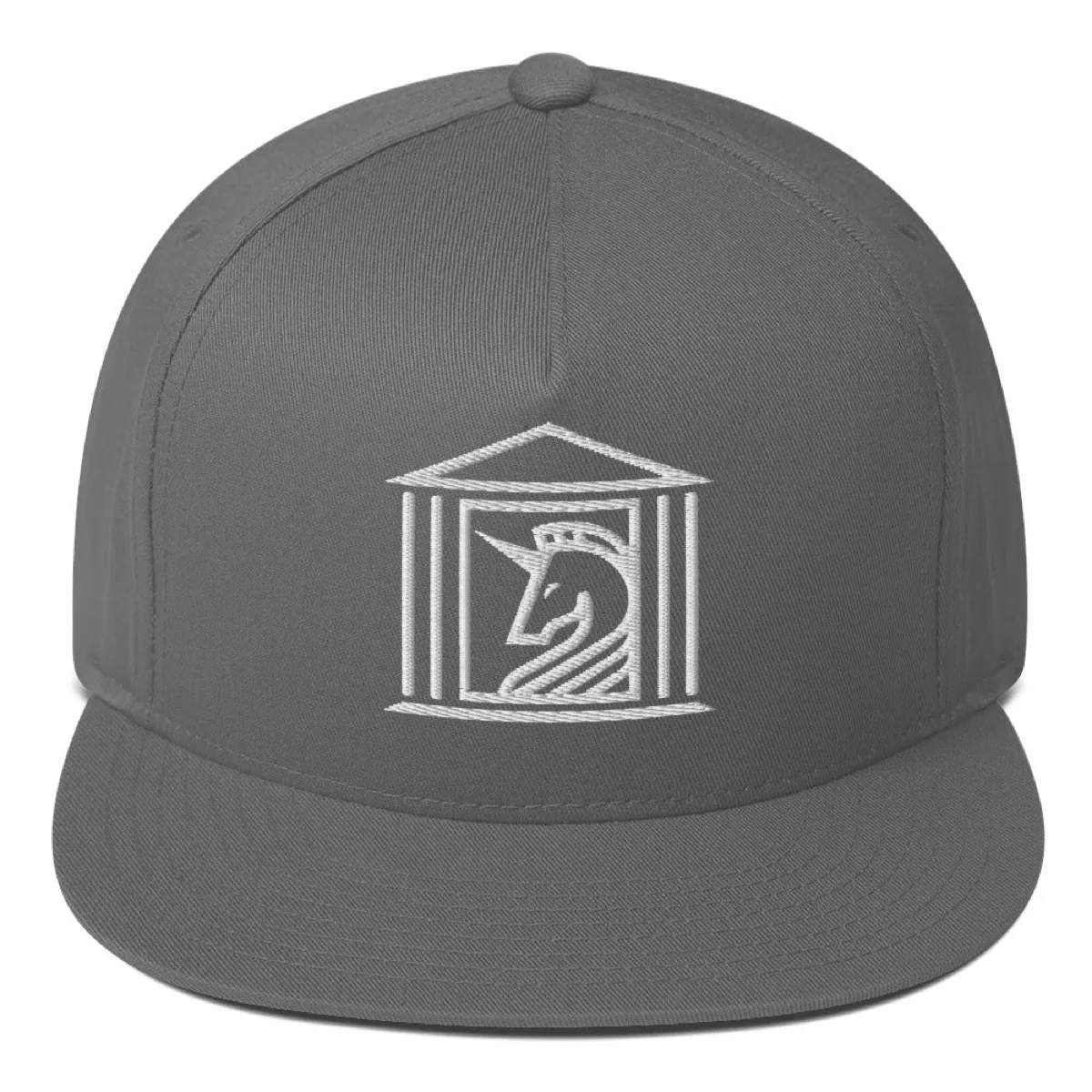 Temple of Unicorns Flat Bill Snapback, grey, front