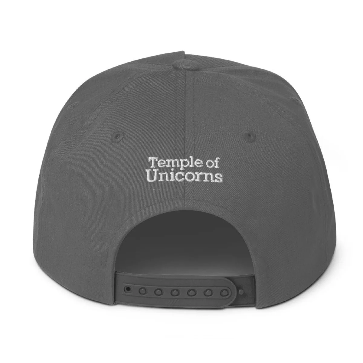 Temple of Unicorns Flat Bill Snapback, grey, back